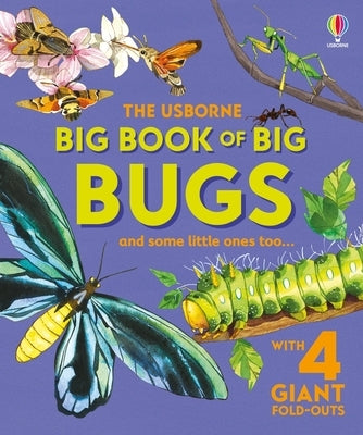 Big Book of Big Bugs by Bone, Emily