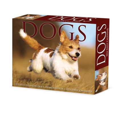 Dogs 2024 6.2 X 5.4 Box Calendar by Willow Creek Press