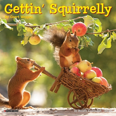 Gettin' Squirrelly 2025 7 X 7 Mini Wall Calendar by Geert Weggen