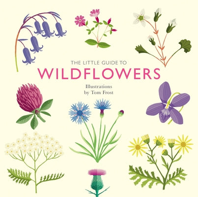 The Little Guide to Wildflowers by Davies, Alison