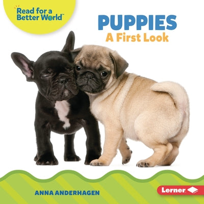 Puppies: A First Look by Anderhagen, Anna