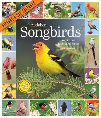 Audubon Songbirds and Other Backyard Birds Picture-A-Day Wall Calendar 2024: A Beautiful Bird Filled Way to Keep Track of 2024 by Workman Calendars