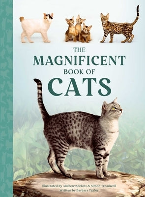 The Magnificent Book of Cats by Taylor, Barbara