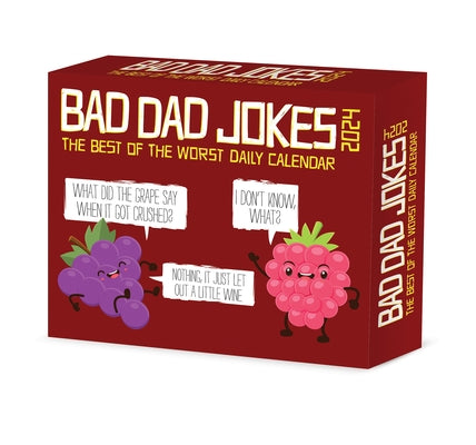 Bad Dad Jokes 2024 6.2 X 5.4 Box Calendar by Willow Creek Press