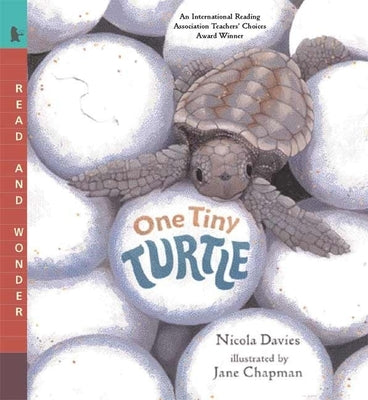 One Tiny Turtle: Read and Wonder by Davies, Nicola