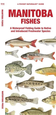 Manitoba Fishes: A Waterproof Folding Guide to Native and Introduced Freshwater Species by Morris, Matthew