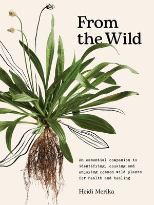 From the Wild: The Essential Companion to Identifying, Using and Enjoying Common Wild Plants for Health and Healing by Merika, Heidi