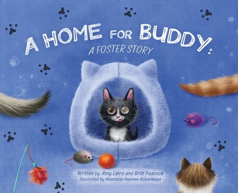 A Home for Buddy: A Foster Story by Laird, Amy