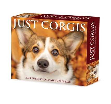 Corgis 2024 6.2 X 5.4 Box Calendar by Willow Creek Press