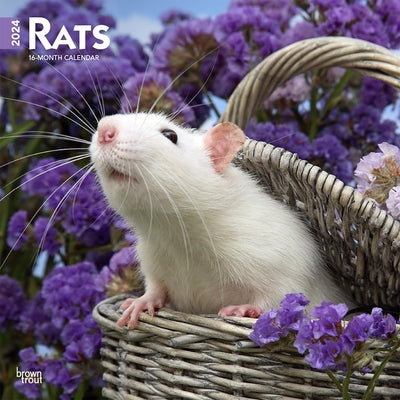Rats 2024 Square by Browntrout