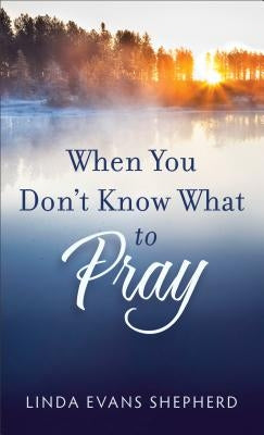 When You Don't Know What to Pray by Shepherd, Linda Evans