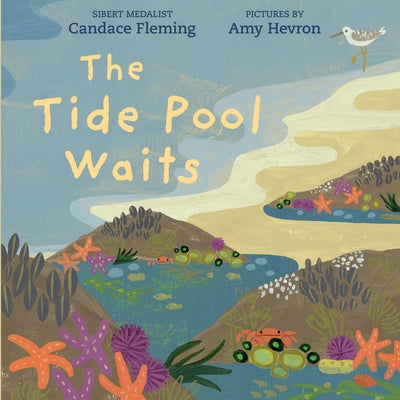 The Tide Pool Waits by Fleming, Candace