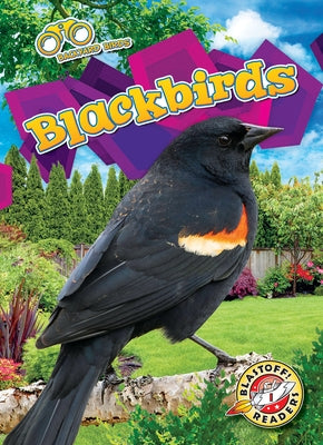 Blackbirds by Barnes, Rachael