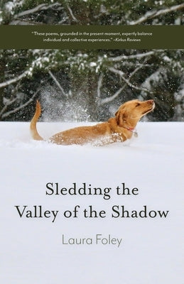 Sledding the Valley of the Shadow by Foley, Laura