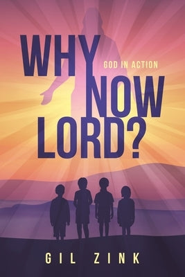 Why Now Lord?: God in Action by Zink, Gil