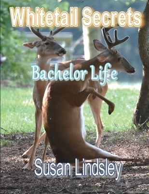 Whitetail Secrets: Bachelor Life by Lindsley, Susan
