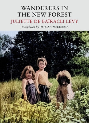 Wanderers in the New Forest by de Ba&#195;&#175;ricli Levy, Juliette