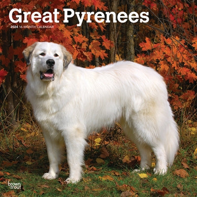 Great Pyrenees 2024 Square by Browntrout