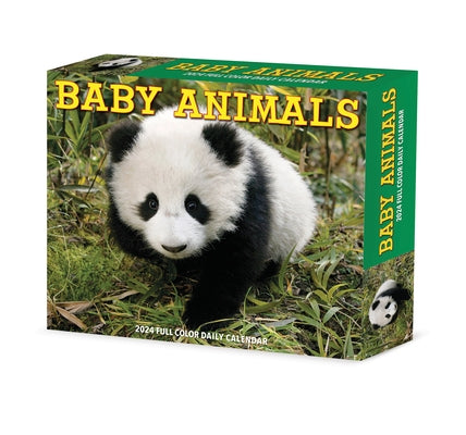 Baby Animals 2024 6.2 X 5.4 Box Calendar by Willow Creek Press