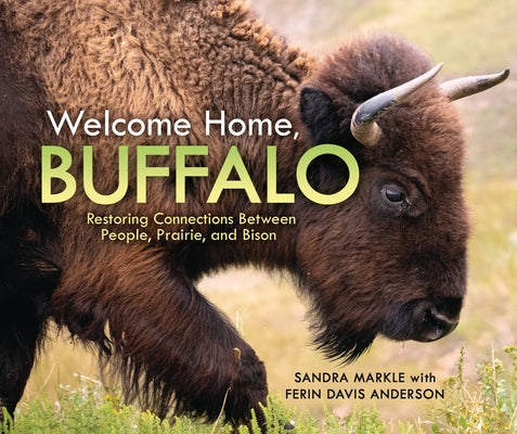 Welcome Home, Buffalo: Restoring Connections Between People, Prairie, and Bison by Markle, Sandra