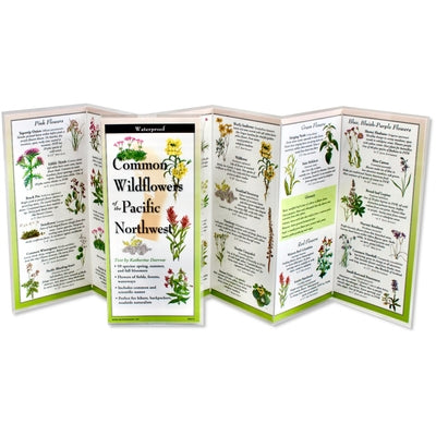 Common Wildflowers of the Pacific Northwest by Darrow, Katherine