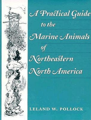 A Practical Guide to the Marine Animals of Northeastern North America by Pollock, Leland