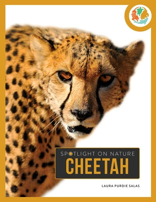 Cheetah by Salas, Laura Purdie