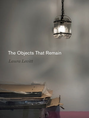 The Objects That Remain by Levitt, Laura