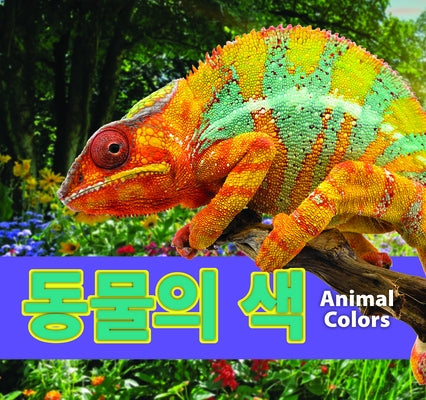 &#46041;&#47932;&#51032; &#49353;/Animal Colors (Korean) by Koran, Maria