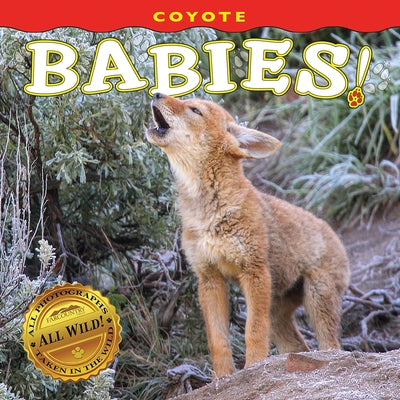 Coyote Babies! by Farcountry Press