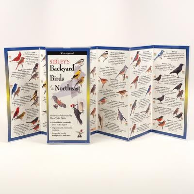 Sibley's Backyard Birds of the Northeast by Sibley, David
