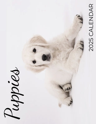 Puppies 2025 Calendar: 2025 Calendar by Maloney, C.