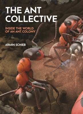 The Ant Collective: Inside the World of an Ant Colony by Schieb, Armin
