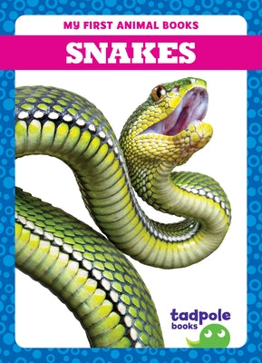 Snakes by Deniston, Natalie