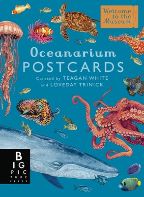 Oceanarium Postcard Box Set by Trinick, Loveday