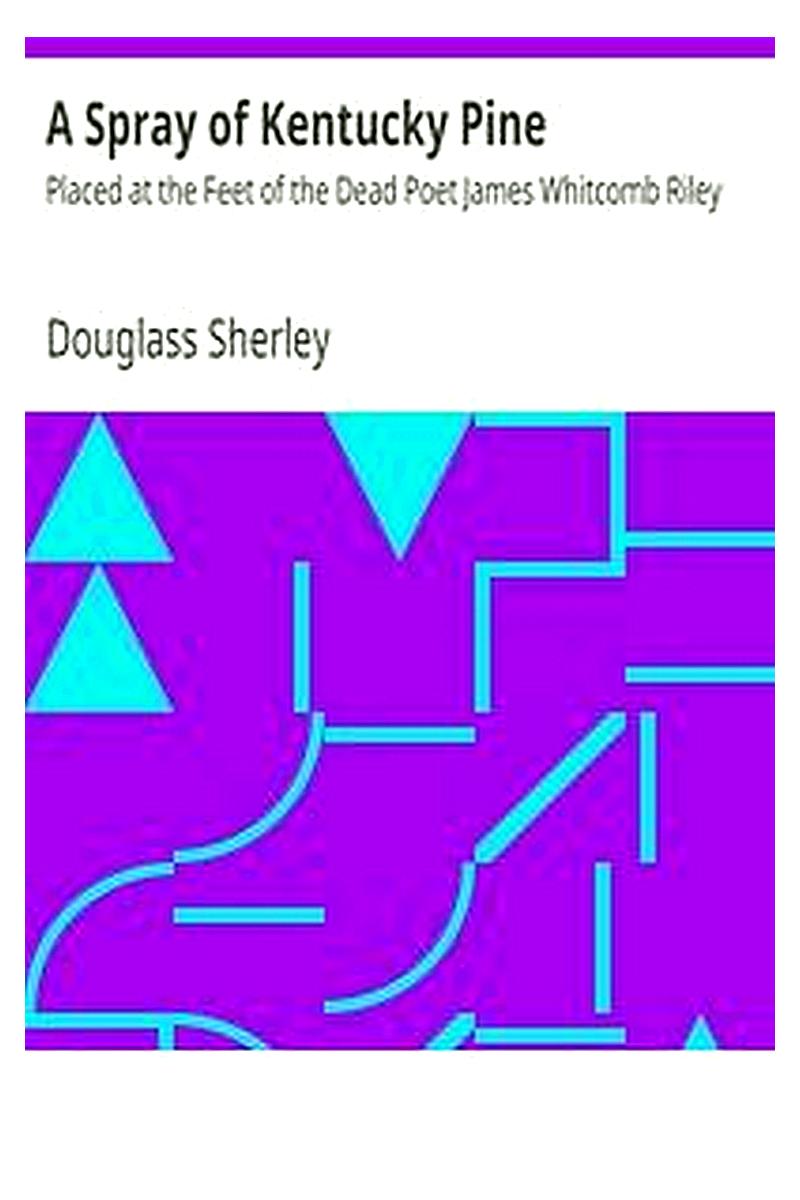 A Spray of Kentucky Pine
