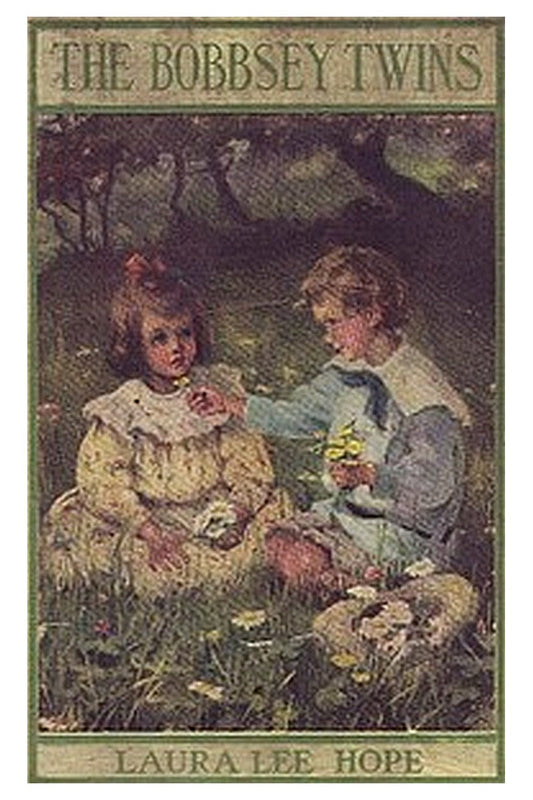The Bobbsey Twins
