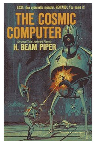 The Cosmic Computer
