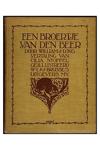 Een Broertje van den Beer