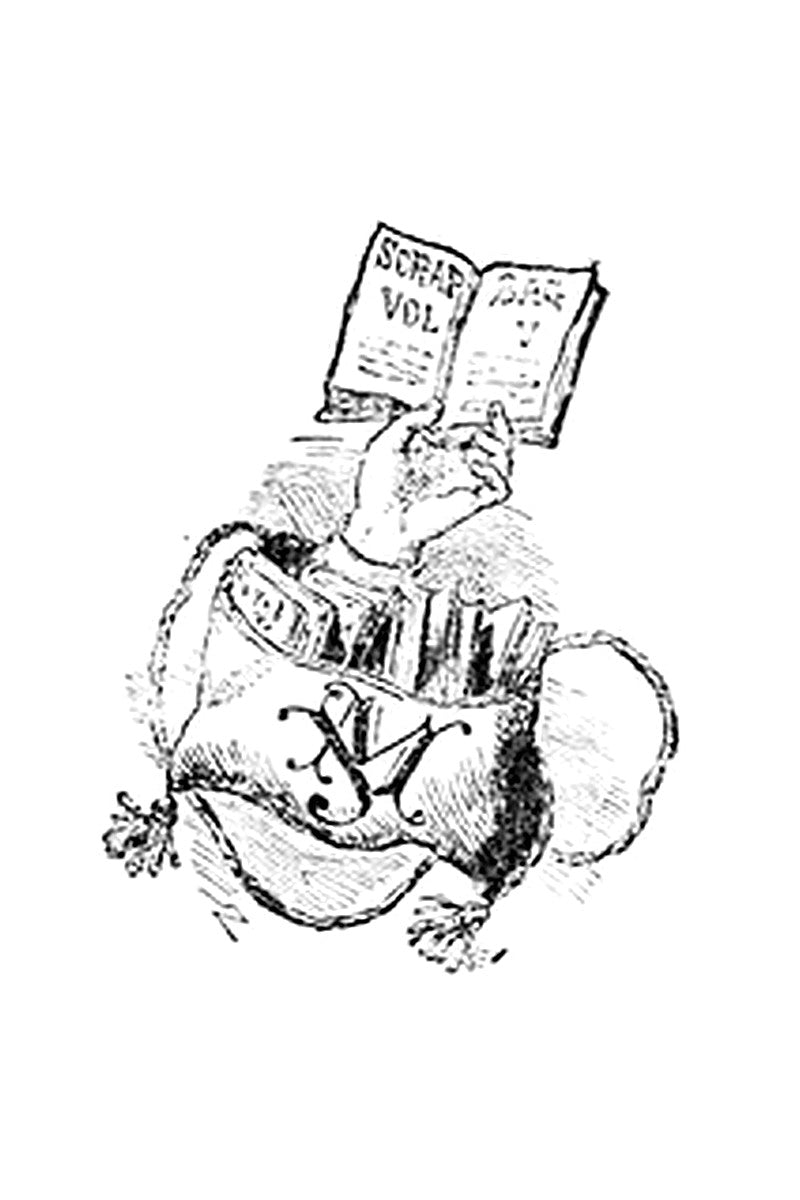 Aunt Jo's Scrap Bag, Volume 5
