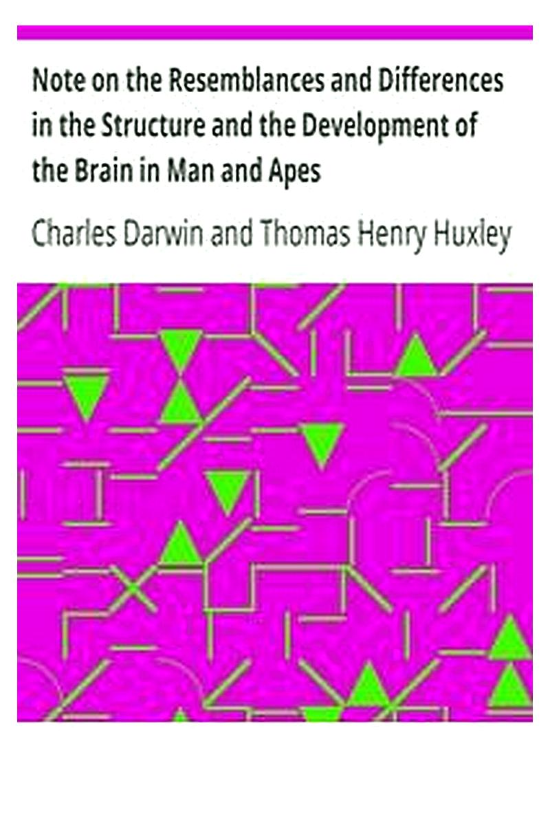 Note on the Resemblances and Differences in the Structure and the Development of the Brain in Man and Apes