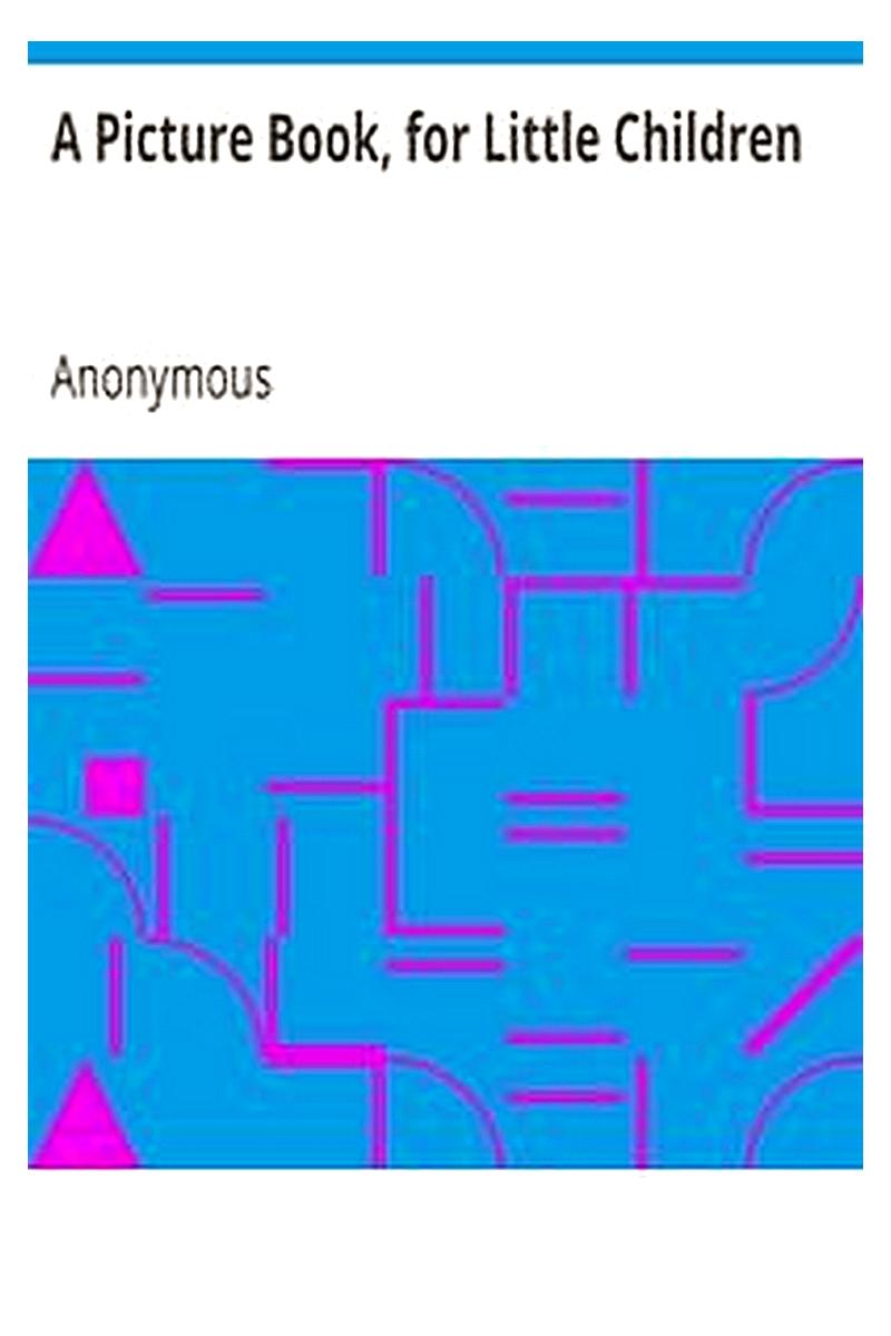 A Picture Book, for Little Children