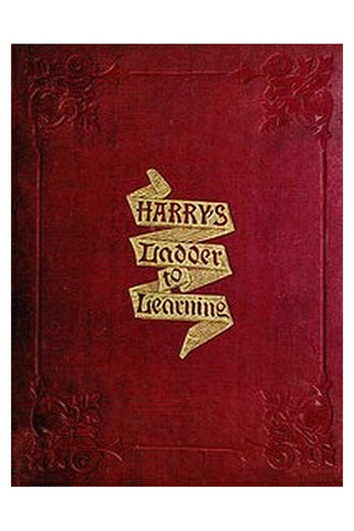 Harry's Ladder to Learning