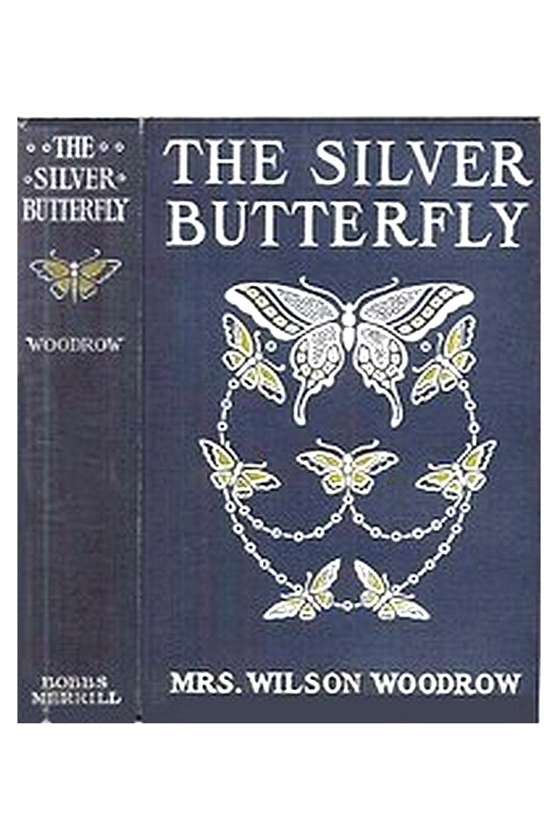 The Silver Butterfly