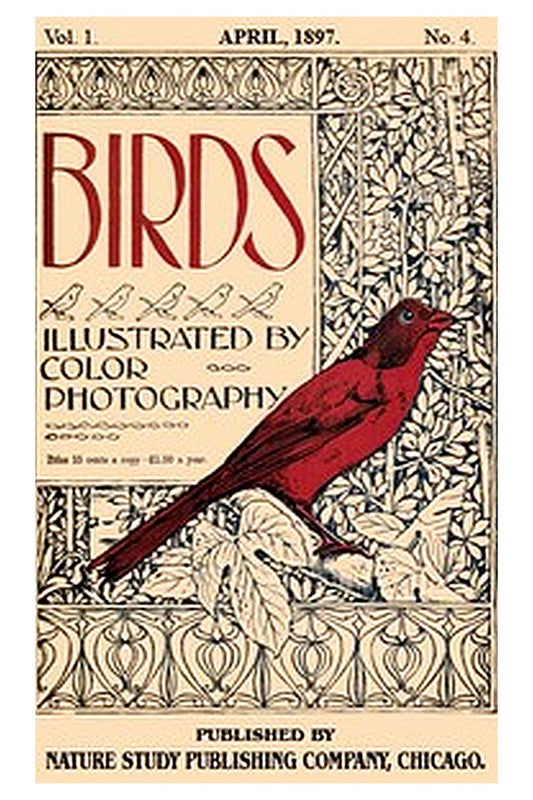 Birds, Illustrated by Color Photography, Vol. 1, No. 4
