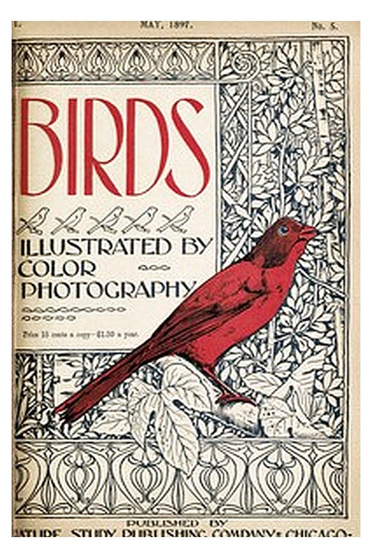 Birds, Illustrated by Color Photography, Vol. 1, No. 5
