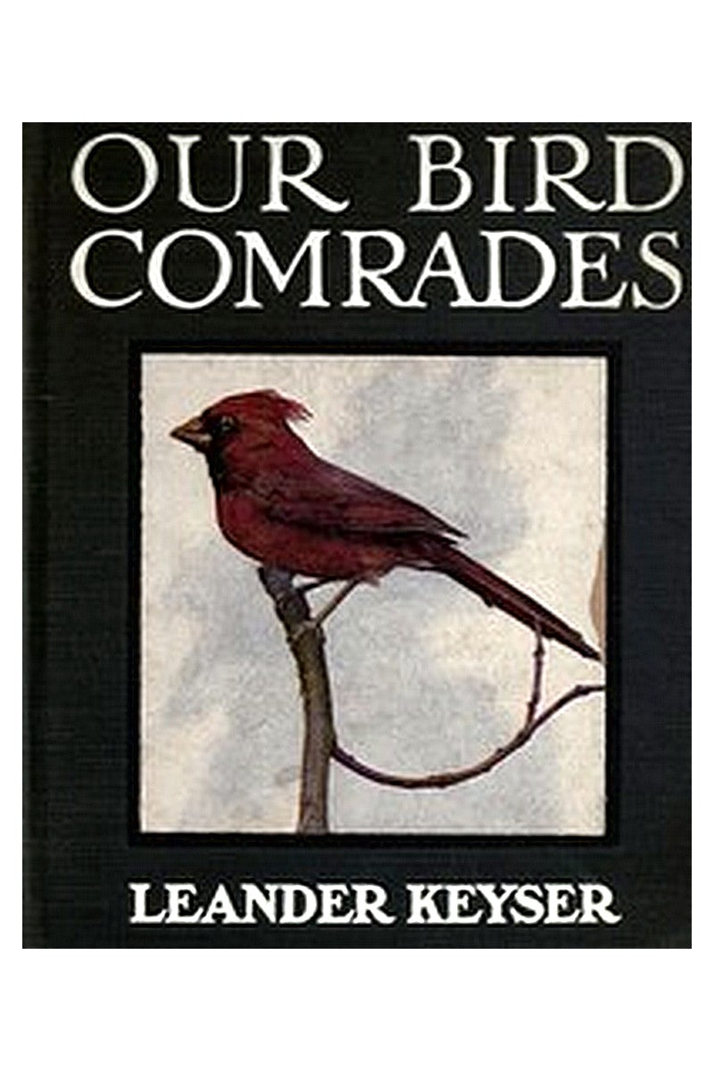 Our Bird Comrades