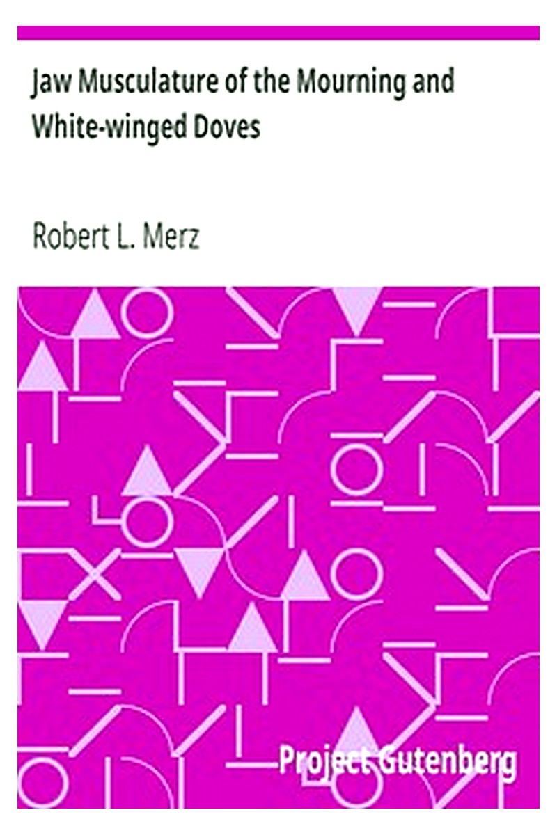 Jaw Musculature of the Mourning and White-winged Doves