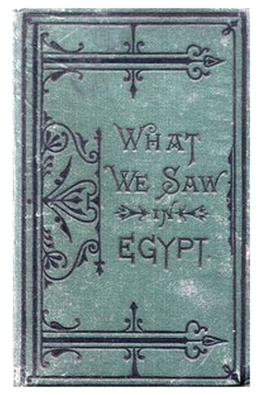 What We Saw in Egypt