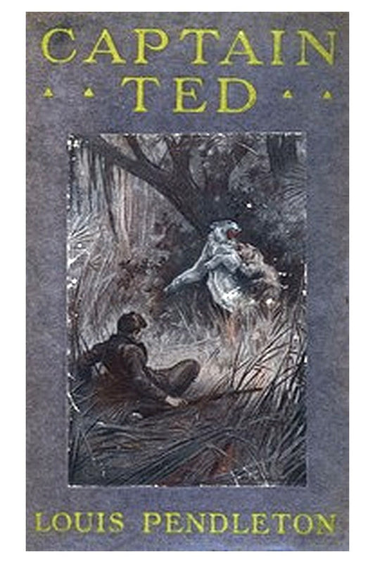 Captain Ted: A Boy's Adventures Among Hiding Slackers in the Great Georgia Swamp